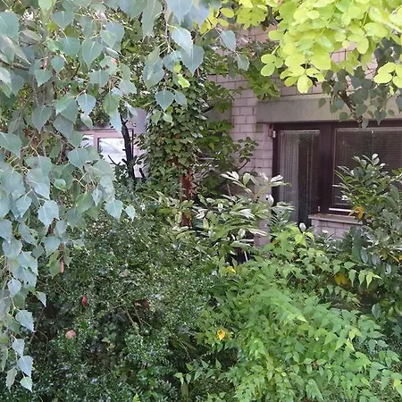 ゲスト ウンターバッハ アパート *